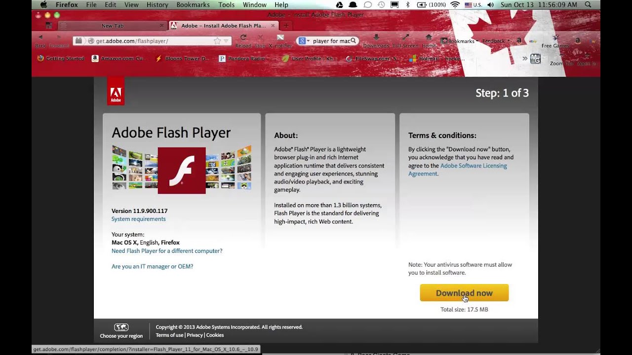 allow adobe flash player safe for mac